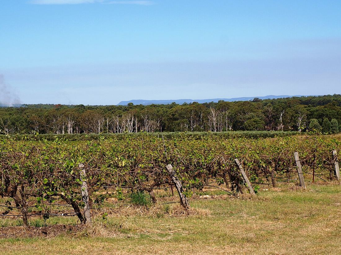 City of Cessnock (Hunter Valley), NSW